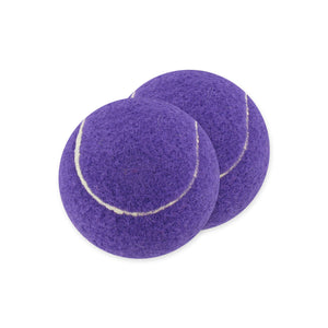 Lady's Walker Accessory Kit