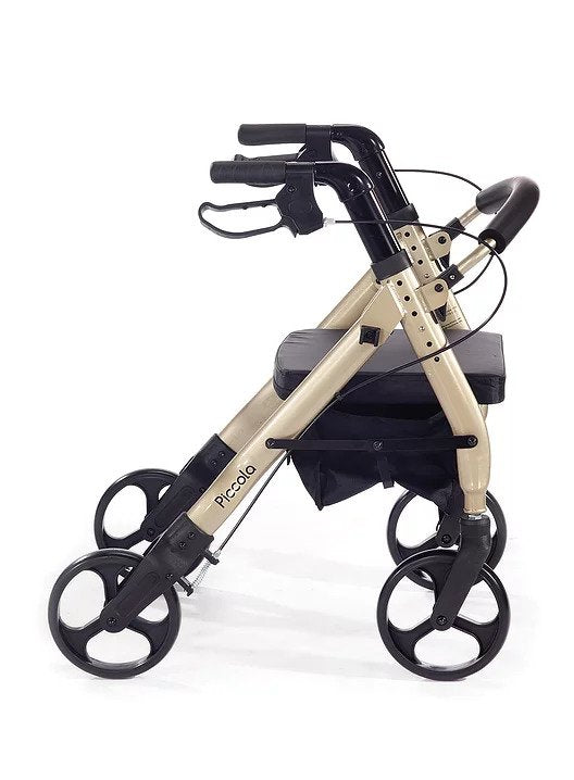 Comodita Piccola - Champagne